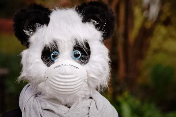 Vegadream Casino Support